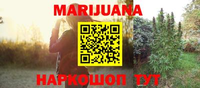 МДПВ Камышлов
