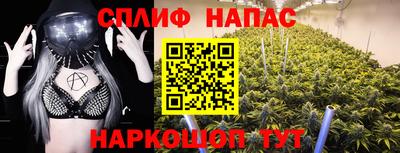 МДПВ Камышлов