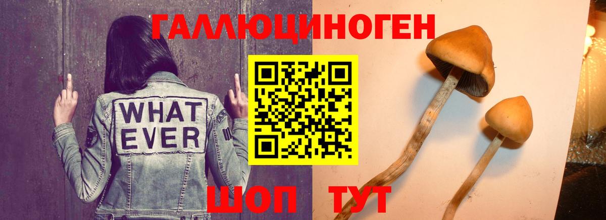 Псилоцибиновые грибы прущие грибы  Вход с VPN  Туймазы 